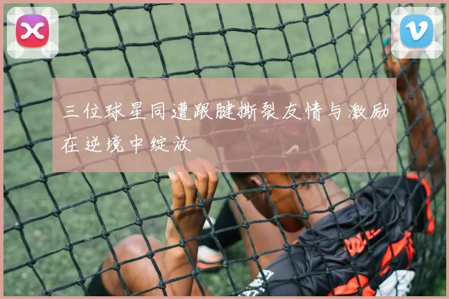 三位球星同遭跟腱撕裂友情与激励在逆境中绽放